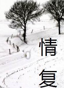 全州低温雨雪凝冻灾害防范应对工作视频调度会召开